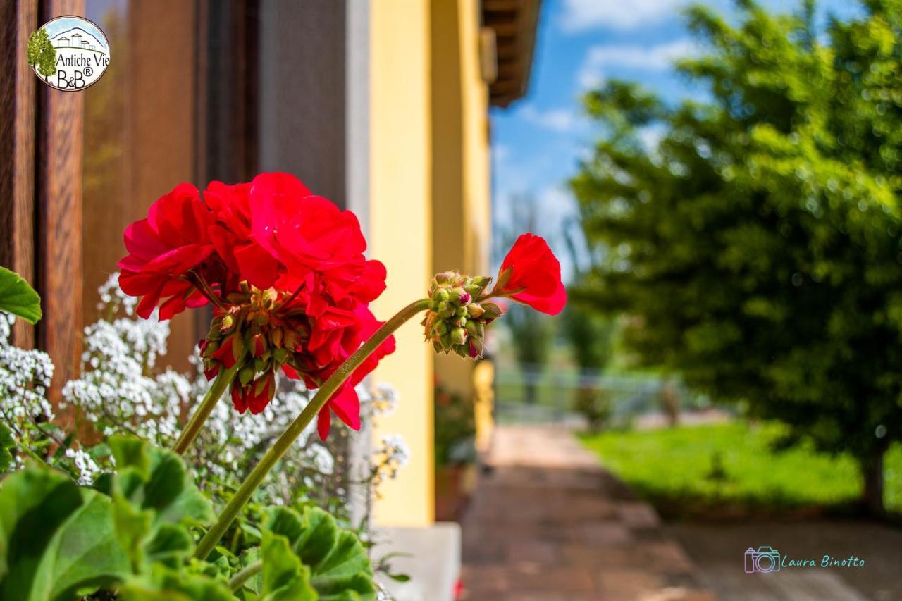 Antiche Vie B&B Serramazzoni Exterior photo